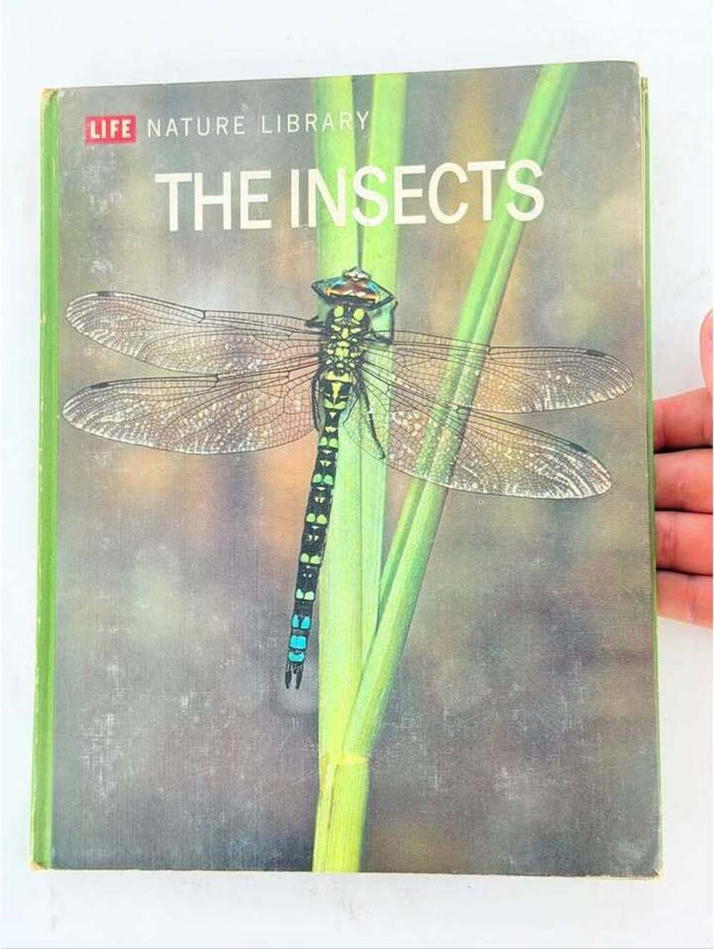 LIFE Nature Library: The Insects by Peter Farb (1962)